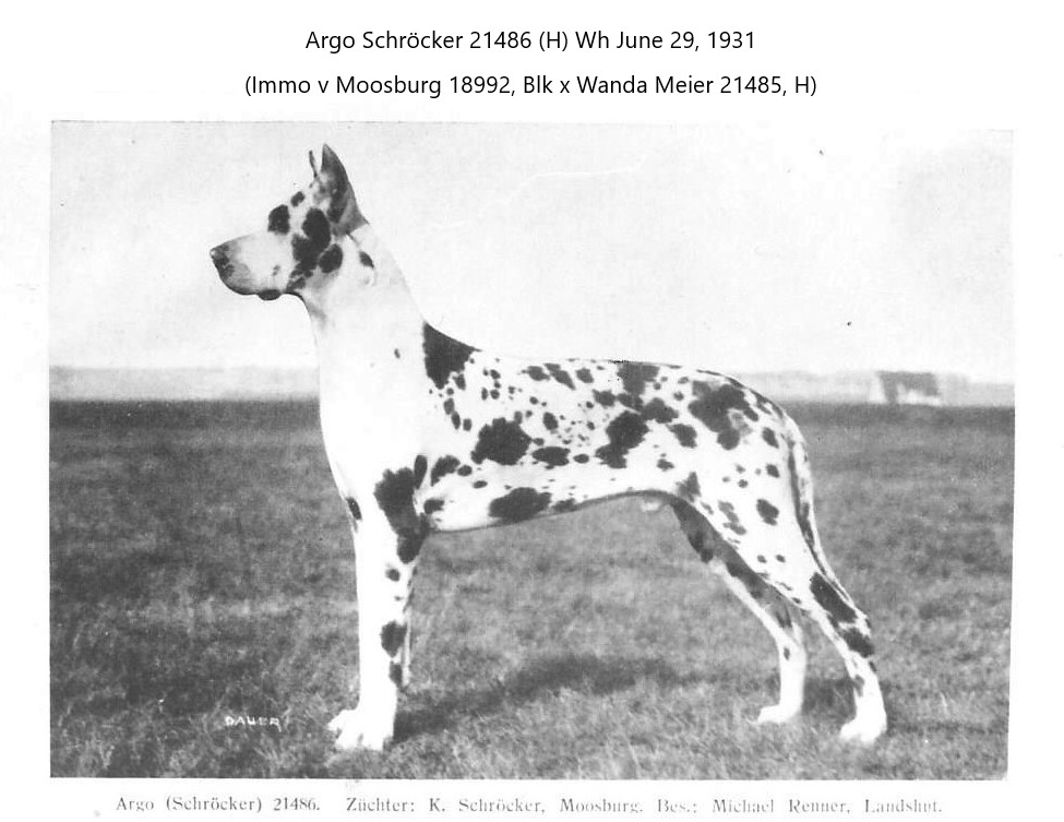 Argo